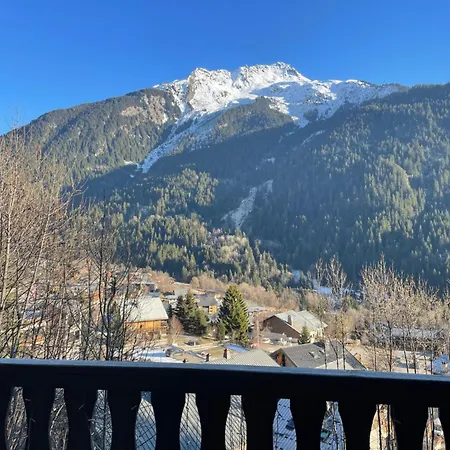 T3 Proche Telecabine La Plagne