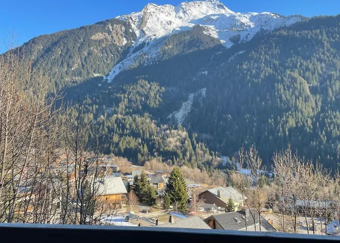 T3 Proche Telecabine La Plagne